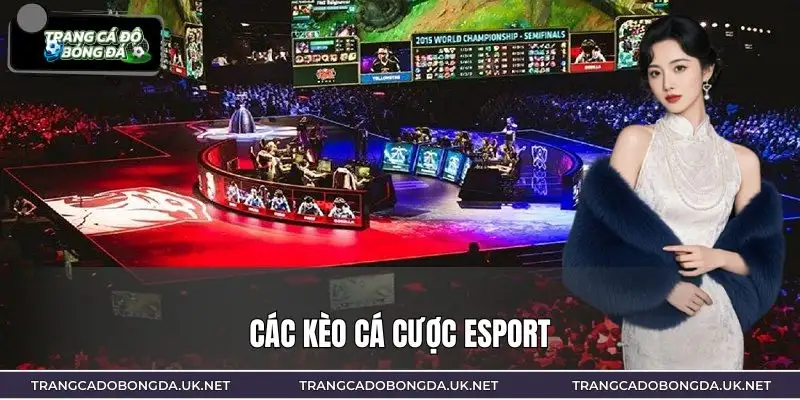 Hệ thống kèo esport đa dạng